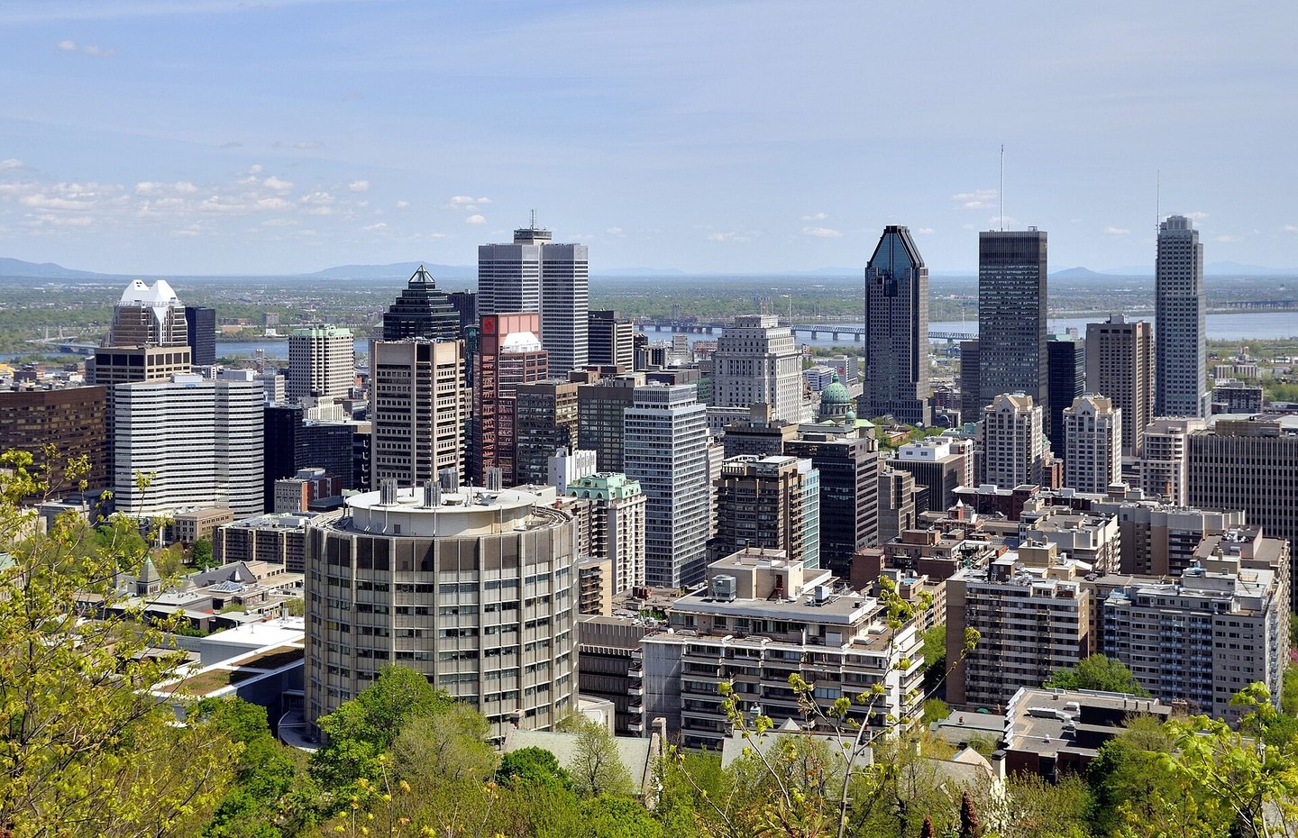 Montreal skyline seen from Mount Royal